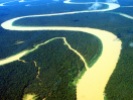 Medo de intervenção na Amazônia é 'paranoia', dizem americanos